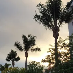 Downtown Ventura - Ventura