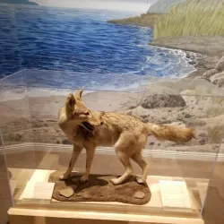 Museum of Ventura County - Ventura