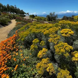 Ventura Botanical Gardens - Ventura