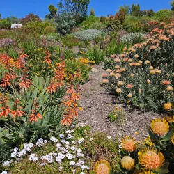 Ventura Botanical Gardens - Ventura