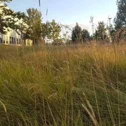 Civic Plaza Park - Victorville