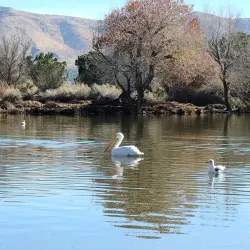 Hesperia Lake Park - Victorville