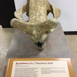 Victor Valley Museum - Victorville