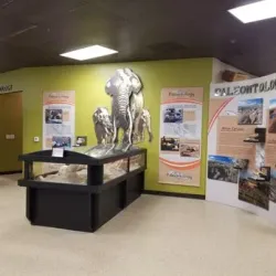 Victor Valley Museum - Victorville