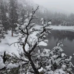 Crystal Lake Recreation Area - Visalia