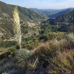 Crystal Lake Recreation Area - Visalia