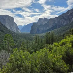 Sequoia National Park - Visalia