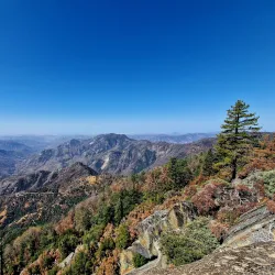 Sequoia National Park - Visalia