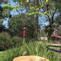 Alta Vista Botanical Gardens - Vista