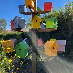 Alta Vista Botanical Gardens - Vista