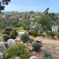 Alta Vista Botanical Gardens - Vista