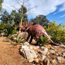 Alta Vista Botanical Gardens - Vista