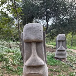 Alta Vista Botanical Gardens - Vista