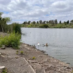 Guajome Regional Park - Vista