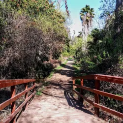 Guajome Regional Park - Vista
