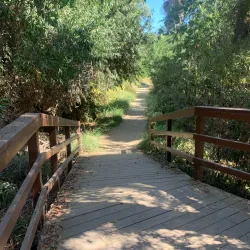 Guajome Regional Park - Vista