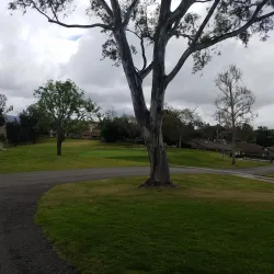 Shadowridge Golf Club - Vista