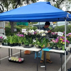 Vista Farmers Market - Vista