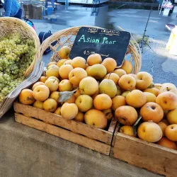 Vista Farmers Market - Vista