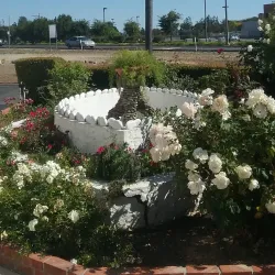 Vista Historical Museum - Vista