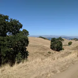 Diablo Foothills Regional Park - Walnut Creek
