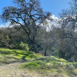 Diablo Foothills Regional Park - Walnut Creek