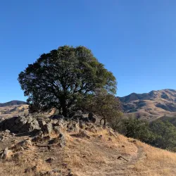 Diablo Foothills Regional Park - Walnut Creek