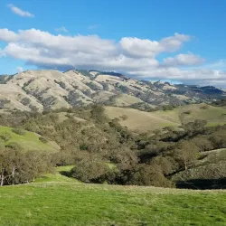 Diablo Foothills Regional Park - Walnut Creek