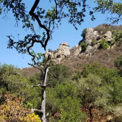 Diablo Foothills Regional Park - Walnut Creek