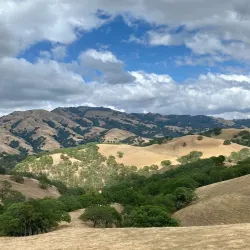 Diablo Foothills Regional Park - Walnut Creek