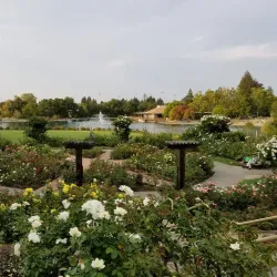 Heather Farm Park - Walnut Creek