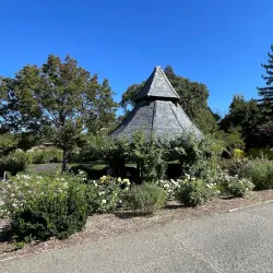 Heather Farm Park - Walnut Creek