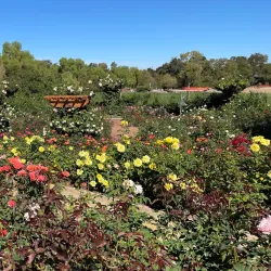 Heather Farm Park - Walnut Creek