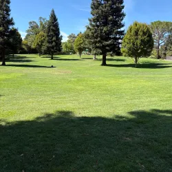 Larkey Park - Walnut Creek