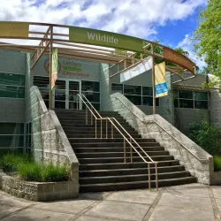 Lindsay Wildlife Experience - Walnut Creek