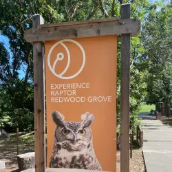 Lindsay Wildlife Experience - Walnut Creek