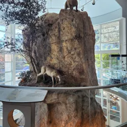 Lindsay Wildlife Experience - Walnut Creek