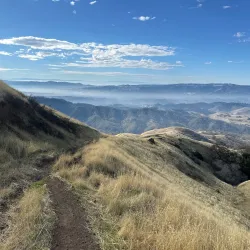 Mount Diablo State Park - Walnut Creek