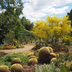 Ruth Bancroft Garden - Walnut Creek