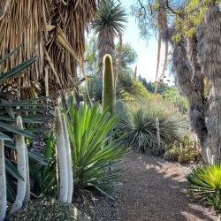 Ruth Bancroft Garden - Walnut Creek