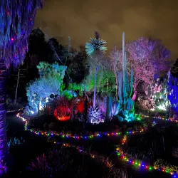 Ruth Bancroft Garden - Walnut Creek