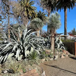 Ruth Bancroft Garden - Walnut Creek