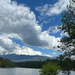 Lake Siskiyou - Weed