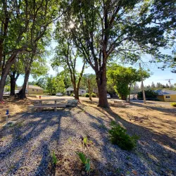 Weed Skate Park - Weed