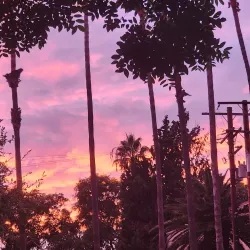 Plummer Park - West Hollywood