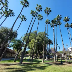 Plummer Park - West Hollywood