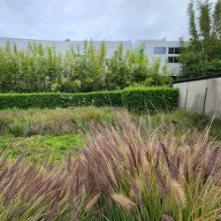 Schindler House - West Hollywood