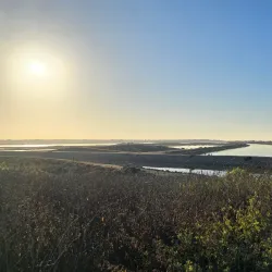 Bolsa Chica Ecological Reserve - Westminster