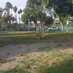 Garden Grove Park - Westminster