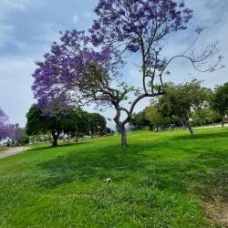 Garden Grove Park - Westminster
